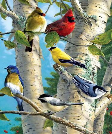 iCoostor Paint by Numbers DIY Acrylic Painting Kit for Kids & Adults Beginner - 16" x 20" Branch Magpie Pattern 16"Wx20"L Branch Magpie
