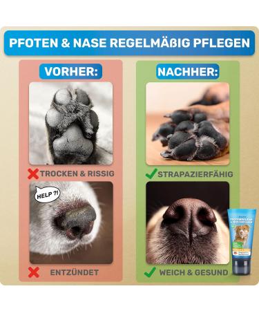 Buy Bluepet Pfotenbalsam Dog Stick Ultimate Care for Stressed Paws & Noses | Relieves Protects & Maintains Year-Round - Buy Online on SooperMarket.com