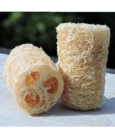 Organic Loofa Bath Sponge Set - 2 Exfoliating Scrubbers | Naturally Grown Loofah - HealthGoodsIn - Buy Online on SooperMarket.com