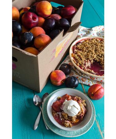 Buy Bob's Red Mill Steel Cut Oats 54 oz - Healthy Whole Grain Oats for Nutritious Meals - Buy Online on SooperMarket.com