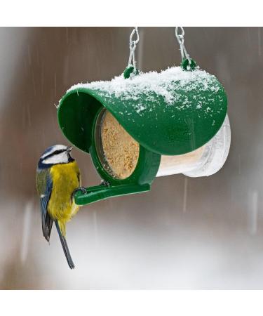 Peanut Butter for Birds - Jacobi Jayne Flutter Butter EcoRefills - Buggy Flavour Wild Bird Food - Ultra-Convenient Eco-Friendly Bird Feed - Pack of 12 Refills Buggy Buggy 140 g (Pack of 12) - Buy Online on SooperMarket.com