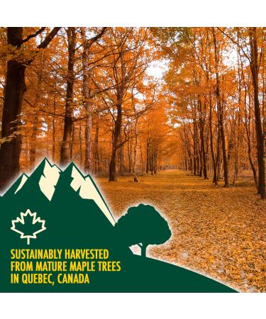 100% Pure Canadian Maple Syrup 500ml - Grade A Dark with Caramel Taste - Ideal for Pancakes & Baking - Buy Online on SooperMarket.com