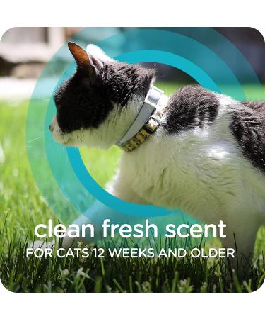 Sergeant's Guardian Pro Flea & Tick Cat Collar - 1 Count - Buy Online on SooperMarket.com