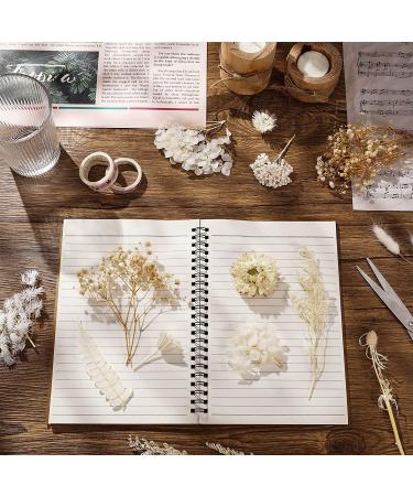 AhlsenL Real Dried Flowers Mix - Hydrangeas, Daisies, White Decorative Petals for DIY Crafts - Buy Online on SooperMarket.com