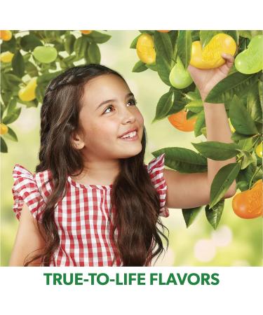 Jelly Belly 3-pack Jelly Beans (80g) - Made in USA | Burst of Flavor | Gluten-Free | Kosher Certified | Peanut-Free | Kid Candy for Holidays Valentine easter candy jelly beans Assorted - Buy Online on SooperMarket.com