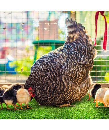 Rural365 Artificial Turf Nesting Box Pads - 12x12, 4 Pack - Chicken Coop Grass Laying Pads - Buy Online on SooperMarket.com