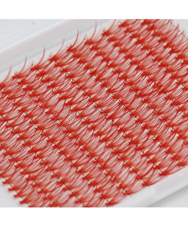 Bodermincer D Curl Cluster Eyelashes - 240pcs 20D in Red Blue Black Brown Purple | 12mm False Eyelashes & Extensions - Buy Online on SooperMarket.com