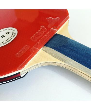 Palio Master 2.0 Table Tennis Racket & Case - ITTF Approved - Flared Handle for Intermediate Players - Buy Online on SooperMarket.com