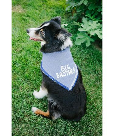 Blue Big Brother Dog Bandana for Pregnancy Announcement - Pet Photo Prop & Handkerchief for Medium to Large Dogs - Buy Online on SooperMarket.com