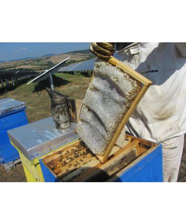 3 x 300g Honeycomb Of Wildflower In Wooden Frame - Pure Natural Honey Comb - Unpasteurised 100% Directly From Hives - Buy Online on SooperMarket.com
