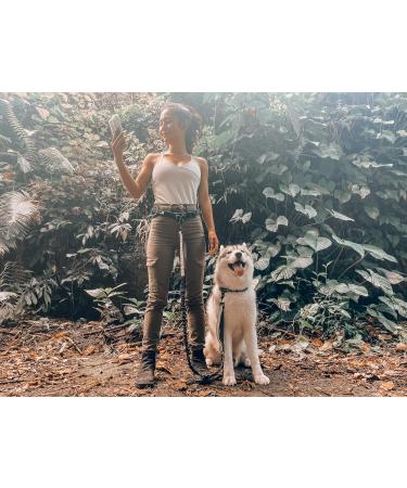 Tuff Pupper Heavy Duty Hands Free Dog Leash | One Large Dog Up to 125 lbs | Comfortable Shock Absorbing Bungee | Reflective Padded Handles | Lumbar Waist Belt 22-45" | Walking Jogging Running Leash One Large Dog (45-125 pounds) - Buy Online on SooperMarket.com