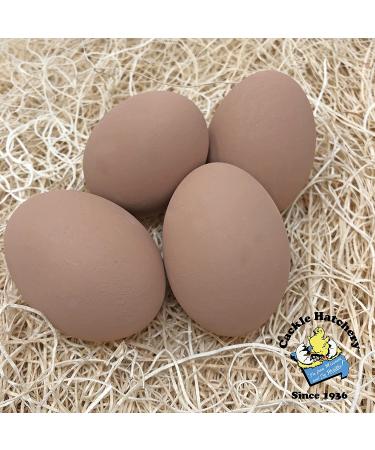 Cackle Hatchery Ceramic Nest Eggs - Set of 4 Brown - Dummy Eggs for Chicken Coop - Buy Online on SooperMarket.com