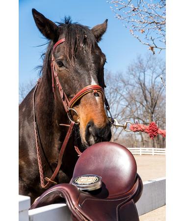 Bickmore Saddle Soap Plus - 6.5oz Leather Cleaner & Conditioner with Lanolin - Restore & Protect Your Leather - Buy Online on SooperMarket.com