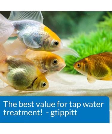 API Tap Water Conditioner for Aquariums - 1 Oz | Effective Water Treatment - Buy Online on SooperMarket.com