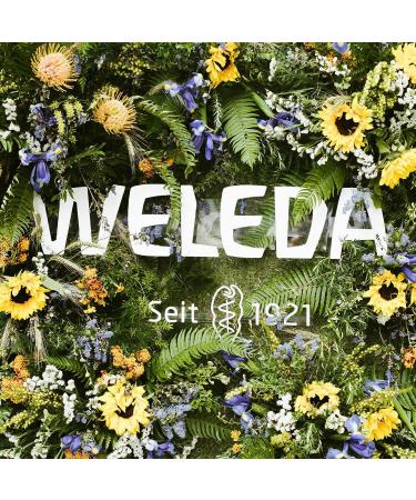 Weleda Renewing Face Lotion 1 Fluid Ounce - Plant Rich Moisturizer with Wild Rose, Jojoba, & Peach Kernel Oils - Buy Online on SooperMarket.com
