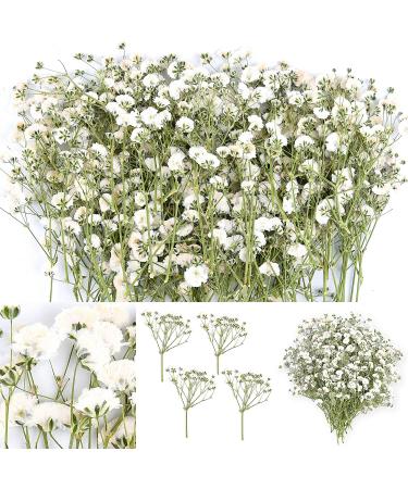 200 Pieces Dried Babys Breath Flowers White Babys Breath Real Flowers Nature Real Dry Pressing Floral Natural Gypsophila Dried Flowers for Wedding Resin Art Craft DIY Card Making