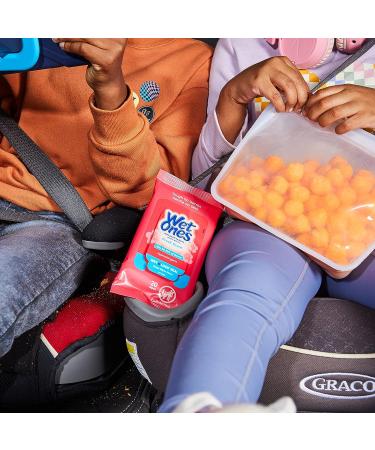 Travel Size Wet Ones Antibacterial Hand Wipes 20 ct - Fresh Scent - Travel Wipes Case - Antibacterial Wipes - Buy Online on SooperMarket.com