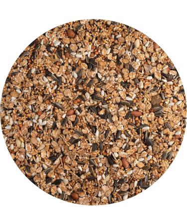 Vita Power Vita Garden Wild Bird Feed - Protein-Rich Eco-Friendly & Sugar-Free (1kg) - Buy Online on SooperMarket.com