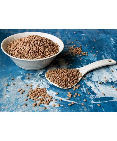 Organic Whole Red Lentils  3 Pounds  Non-GMO  Dry Raw Lentils  Sproutable  Vegan  Kosher  Bulk. Easy to Cook. Good Source of Folate  Fiber  and Protein. Perfect for Lentil Soup  Stews  and Curry. - Buy Online on SooperMarket.com