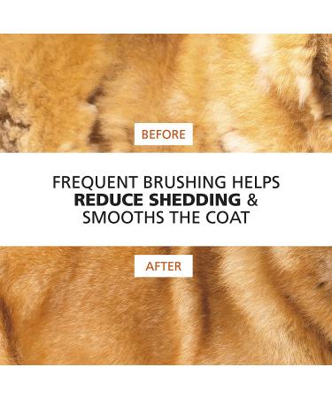 Wahl Premium Dual Level Sensitive Skin Pet Slicker Brush - Buy Online on SooperMarket.com