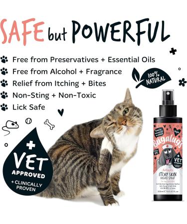 BUGALUGS itchy dog skin relief Antiseptic spray for dogs puppy cats & pets - Dog grooming Antibacterial Antifungal for dog itchy skin relief- use with our dog shampoo sensitive skin 200ml Spray - Buy Online on SooperMarket.com