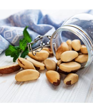 Roasted & Salted Brazil Nuts - 15oz Resealable Pouch | Freshly Roasted Daily Snack | Vegan, Keto & Paleo Friendly | High Protein & Minerals | Kosher Certified - Buy Online on SooperMarket.com