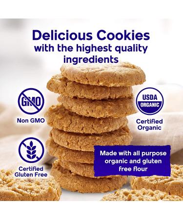 Steve and Andys Soft & Chewy Oatmeal Coconut Cookies - Gluten-Free Dessert, No Corn Syrup, Tree Nuts, Kosher, Non-GMO (2 Pack) - Buy Online on SooperMarket.com
