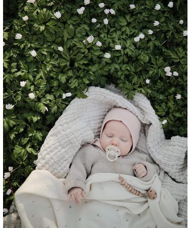 FRIGG Daisy Natural Rubber Baby Pacifier 2-Pack | BPA-Free | Made in Denmark | Baby Pink/Soft Lilac 6-18 Months - Buy Online on SooperMarket.com