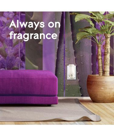 Glade PlugIns Air Freshener Kit Scented and Essential Oils for Bathroom and Home Fragrance Tranquil Lavender and Aloe 2 Warmers and 6 Fragrance Oil Refills Lavender & Aloe 118.89 ml (Pack of 1) - Buy Online on SooperMarket.com