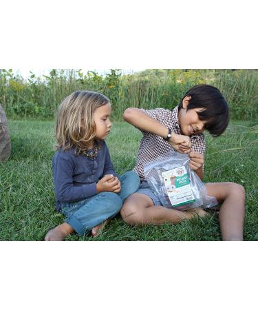 Mission Meats Kids Snacks Sugar Free Grass Fed Beef Sticks Gluten Free Paleo Healthy School Snacks for Kids Meat Sticks Beef Jerky Zero Sugar Protein Snacks Keto Snacks Snack Packs Lunch Snacks Tasty Original Grass Fed Beef Kids Sticks 0.5 Ounce (Pack of  - Buy Online on SooperMarket.com