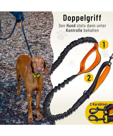 Premium Elastic-Free Jogging Leash for Large Dogs | 120-170 cm Adjustable | Orange | Comfortable Belly Belt & Removable Soft Loops - Buy Online on SooperMarket.com