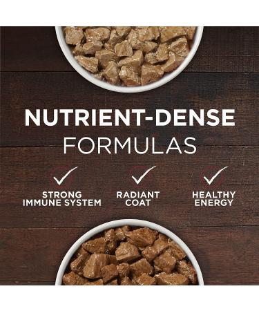 Purina ONE SmartBlend True Instinct Adult Canned Wet Dog Food Variety Pack - Turkey & Chicken 12 ct. 13 oz (Pack of 12) Gravy - Best for Dogs - Buy Online on SooperMarket.com