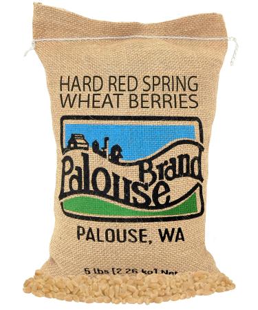 Non-GMO Project Verified Hard Red Spring Wheat Berries | 100% Non-Irradiated | Certified Kosher Parve | USA Grown | Field Traced (We tell you which field we grew it in), 5 Pound (Pack of 1)