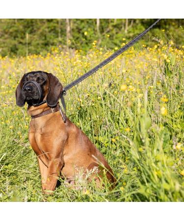 Reflective Total Pet Figure of 8 Dog Lead - Anti-Pull Slip Lead with Padded Nose Support | 180cm - Buy Online on SooperMarket.com