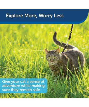 PetSafe Come with Me Kitty Harness & Bungee Leash for Cats Size S Black/Silver & Black/Dark Purple - International Shipping Available - Buy Online on SooperMarket.com