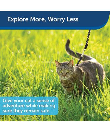PetSafe Come with Me Kitty Harness & Bungee Leash for Cats Size M Black/Silver & Beige Perfect International Shipping - Buy Online on SooperMarket.com