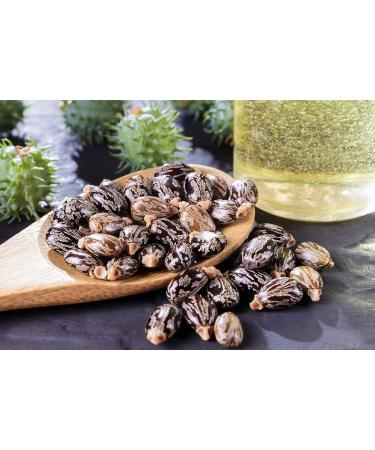 Organic Castor Oil - USDA Certified 100% Pure Cold Pressed Non-GMO | 16 oz for Skin Hair Nails & Eyelashes Growth - Nourishes & Hydrates - Buy Online on SooperMarket.com