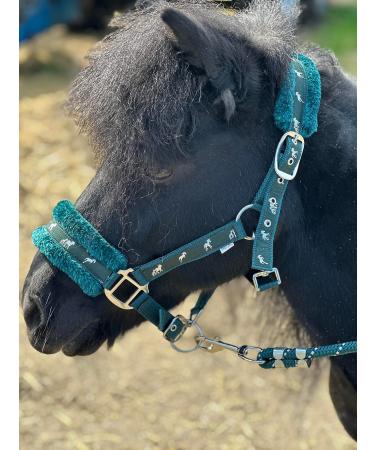 Equipride Horse Print Faux Lined Nylon Headcollars with Matching Lead Rope Green (Mini Shetland)