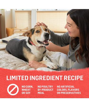 Purina Beyond Grain-Free Natural Beef & Green Bean Wet Dog Food - (12) 13 oz. Cans - Buy Online on SooperMarket.com