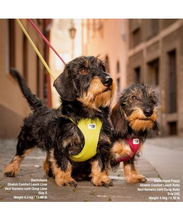 Curli Clasp Air-Mesh Vest Harness - Brown - Size L - Stylish & Comfortable for Your Pet | International Shipping Available - Buy Online on SooperMarket.com