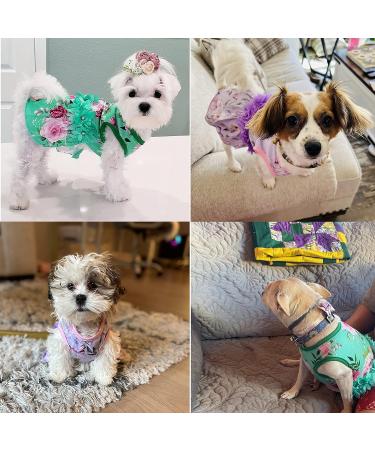 CUSOZWO Small Dog Clothes - 2 Pack Flower Dog Dress for Small Dogs and Cats - Elegant Spring Princess Skirt Outfit (M) - Buy Online on SooperMarket.com