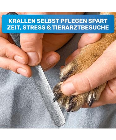Buy Bluepet 2x Set Claw File Nail File for Optimal Pet Claw Care | Coarse & Fine for Dogs Cats & Small Animals - Buy Online on SooperMarket.com