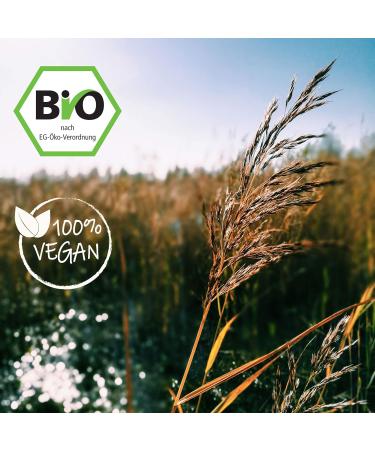 Buy Rimoco N 910 Organic Bio Turmeric - Spicy & Earthy Herb for Indian Cuisine | 1000g Kraft Paper Zip Bag | DE- KO-007 - Buy Online on SooperMarket.com