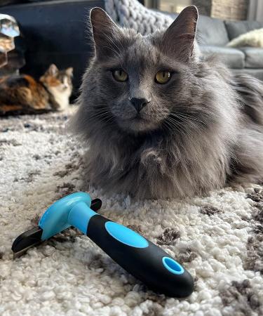 HCE Dog Hair Brush for Grooming | Best Brush for Matted Hair, Shedding & Defurring | Ideal for Large Dogs, Huskies | Blue - Buy Online on SooperMarket.com