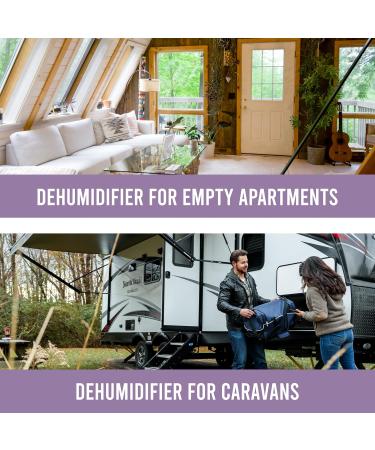 TO Wardrobe Dehumidifier Hanging Bags - 6 x 190g | Mould Prevention, Disposable Dehumidifiers for Window, Caravan, Home & Kitchen | Lavender Scent | Damp Absorber - Buy Online on SooperMarket.com