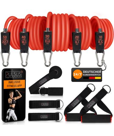 Fitness band Resistance Bands Set with exercise video app - Pro Expander ligament set: 5 resistance tapes handles foot loops door anchors & carrying bag |Sports band