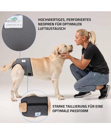 Buy High-Quality Financial Trousers for Dogs 2.0 - Premium Neoprene Diapers for Males - Optimal Airflow No Rod Threading - Large Blue - Buy Online on SooperMarket.com