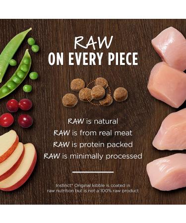 Original Grain-Free Kitten Recipe with Real Chicken - Premium Quality Food - Buy Online on SooperMarket.com