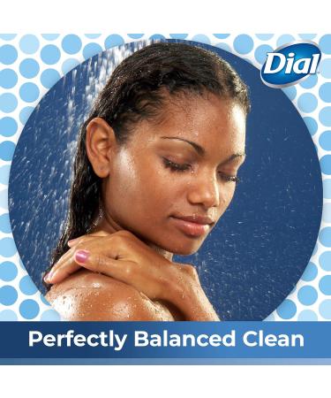 Dial Mountain Fresh Body Wash 16 fl oz - Pack of 3, All Day Freshness - Shop Now! - Buy Online on SooperMarket.com