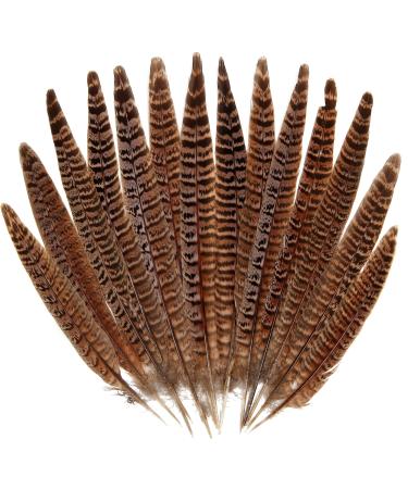 iHUFeather 20pcs Natural Pheasant Feathers  Female Tails Feathers 6-8inch for DIY Crafts Wedding Party Centerpieces Christmas Home Decoration 6-8Inch-20pcs Female